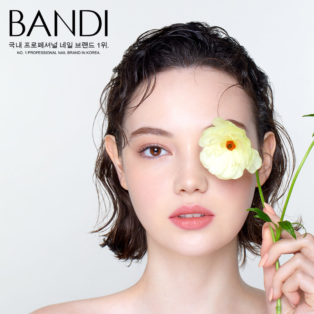 BANDI New Summit Colors Distribution Inc.